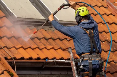 Démoussage et hydrofuge de toiture à Ladinhac